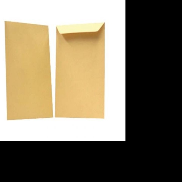 SOBRE BOLSA 12 OFI. 19X26.7CM. 606 PANUCO 60KG. PZA